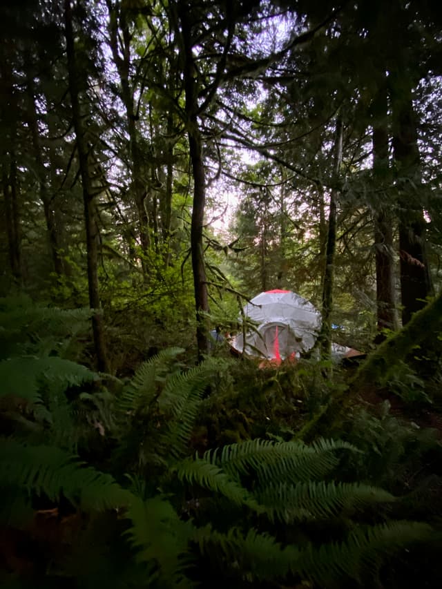 Geodesic dome at Whose Land fire circle