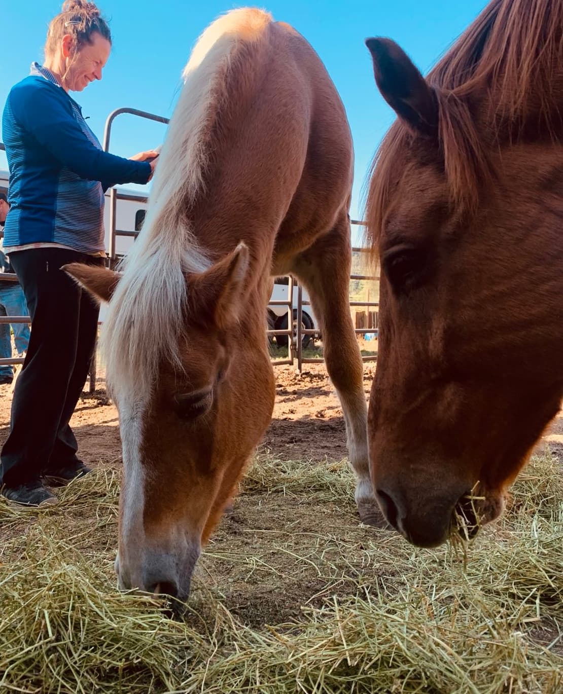 Whose Land retreat space